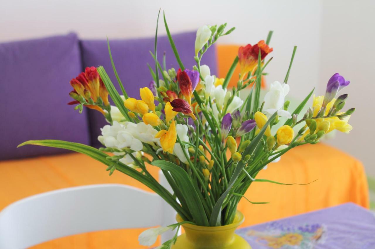 Apartments Nejasmic - Little House For Peaceful And Domestic Vacation Bol Zewnętrze zdjęcie